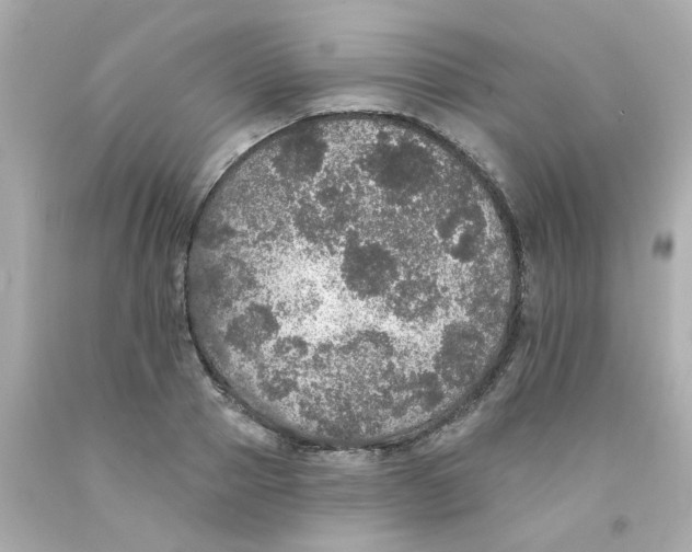 X0000093130937200710241320