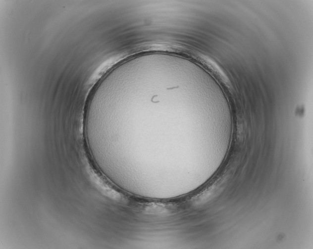 X0000093130938200710241320