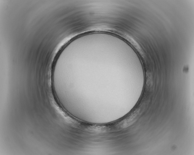 X0000093130939200710241320