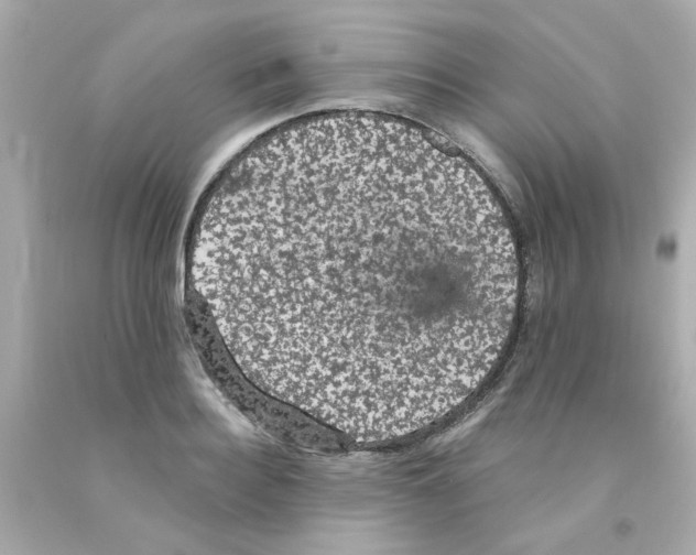 X0000093130940200710241320