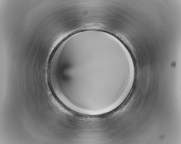 X0000093130941200710241320