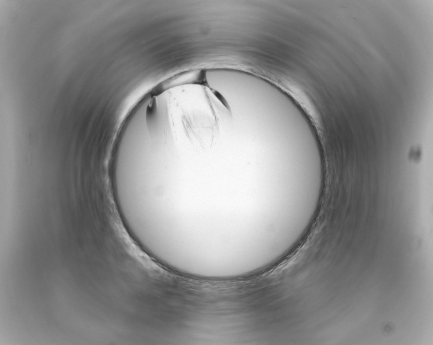 X0000093130944200710241320