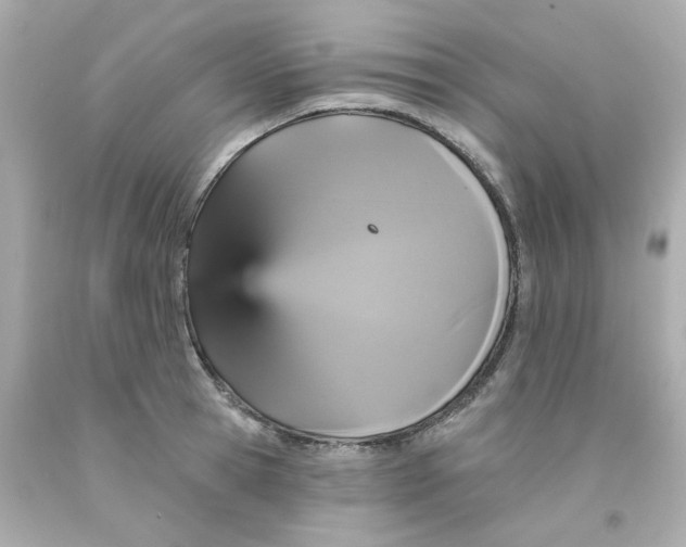 X0000093130945200710241320