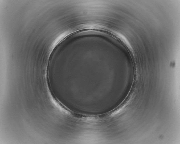 X0000093130946200710241320