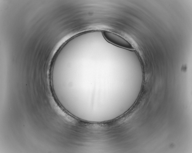 X0000093130947200710241320
