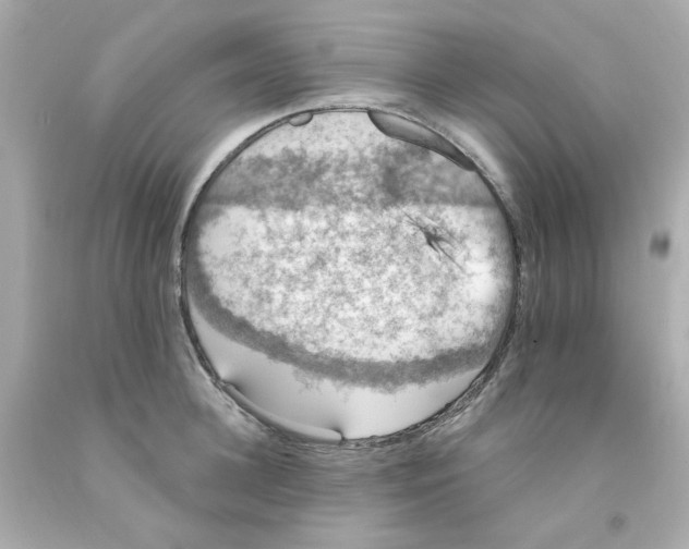 X0000093130948200710241320