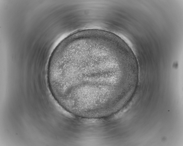 X0000093130949200710241320
