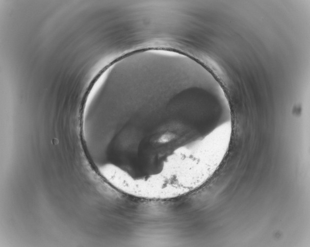 X0000093130950200710241320