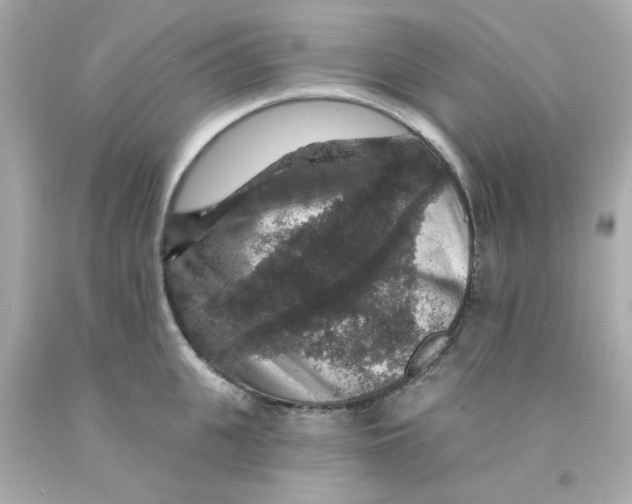 X0000093130951200710241320