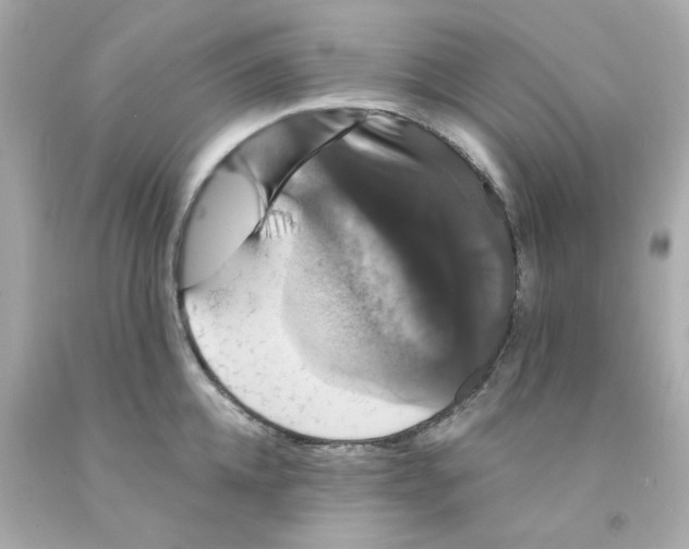 X0000093130952200710241320