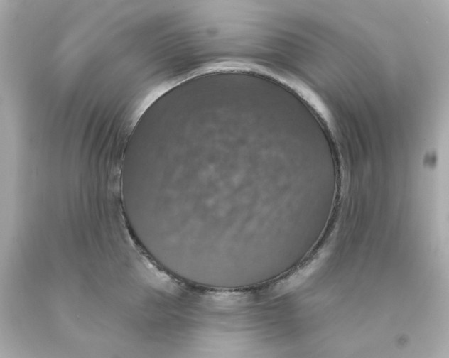 X0000093130953200710241320