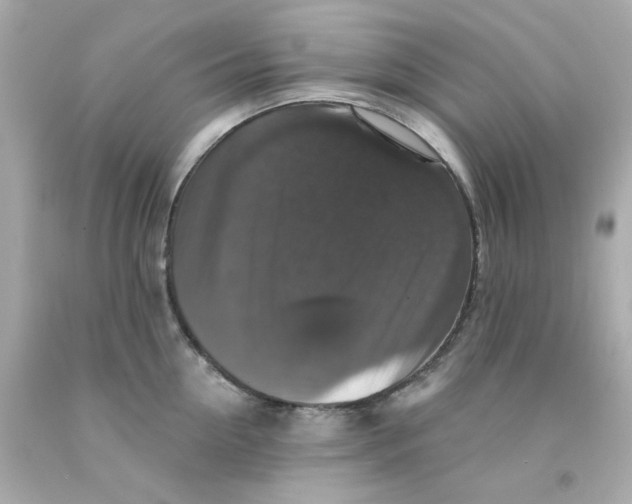 X0000093130954200710241320