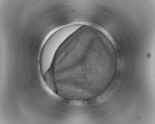 X0000093130955200710241320
