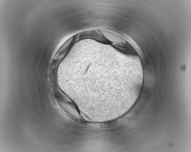 X0000093130956200710241320