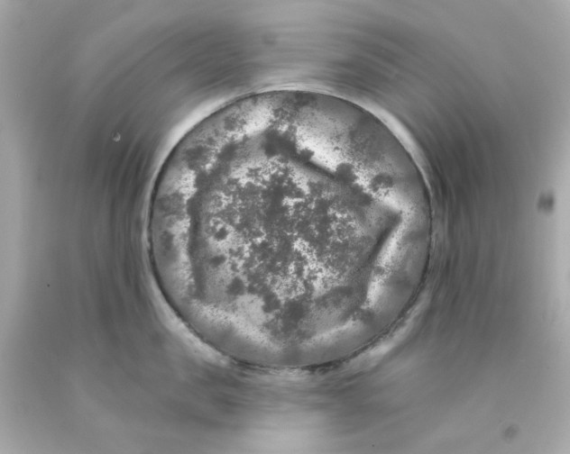 X0000093130957200710241320