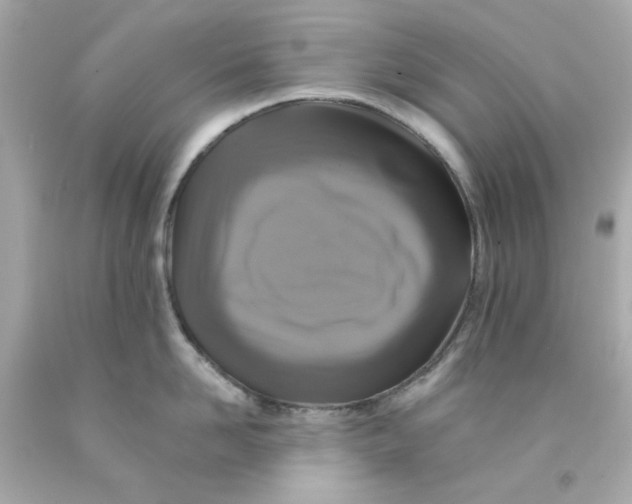 X0000093130958200710241320