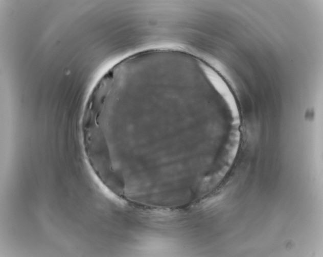 X0000093130959200710241320