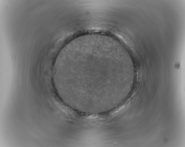 X0000093130961200710241319