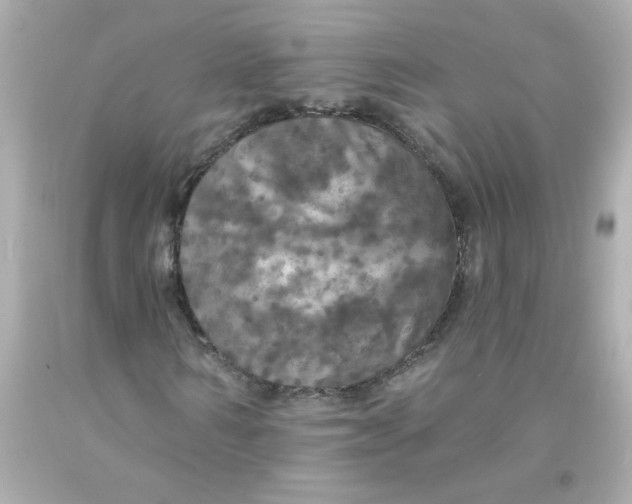 X0000093130962200710241319