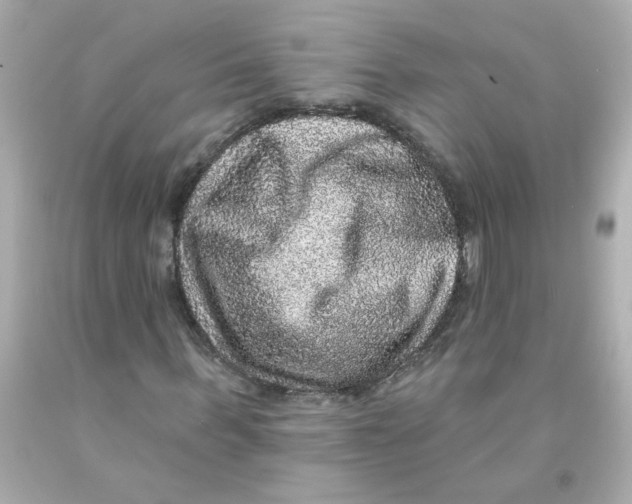 X0000093130963200710241319