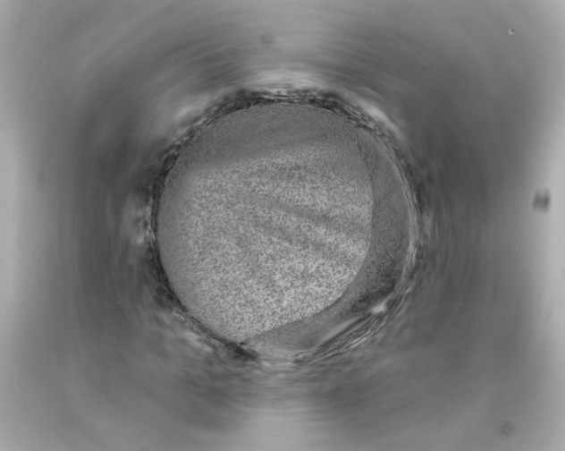 X0000093130965200710241319