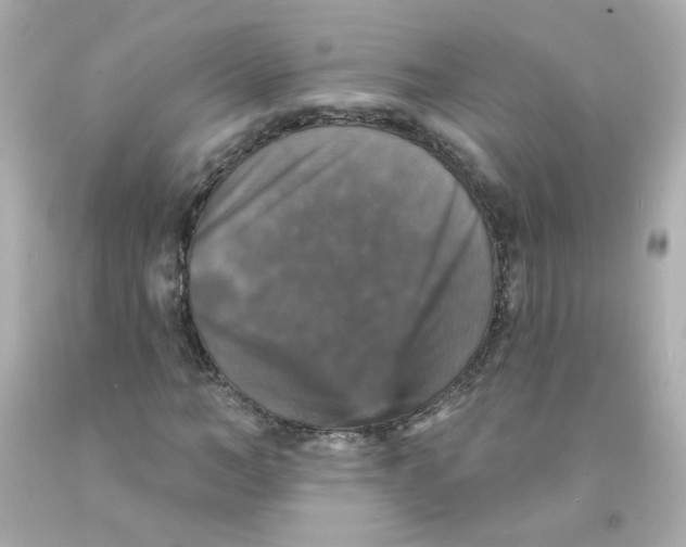 X0000093130966200710241319