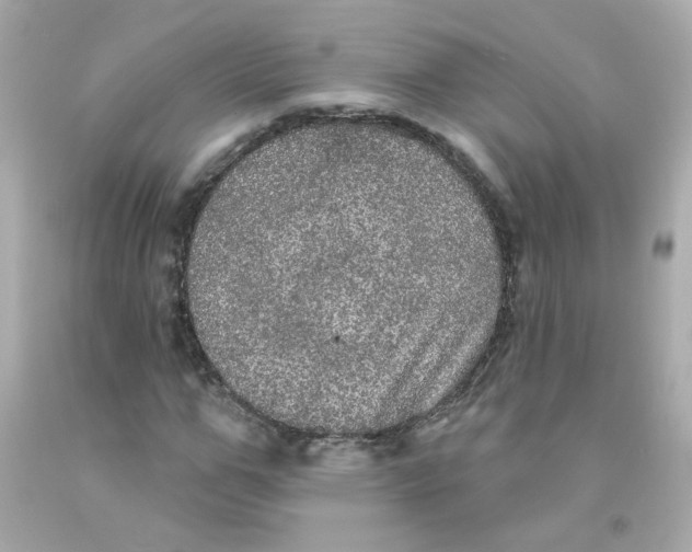 X0000093130967200710241319
