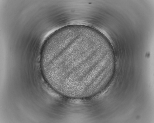 X0000093130971200710241319