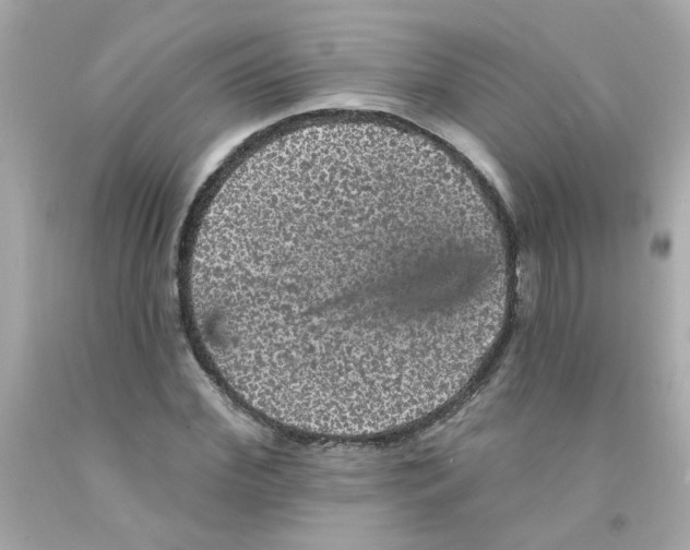 X0000093130972200710241319