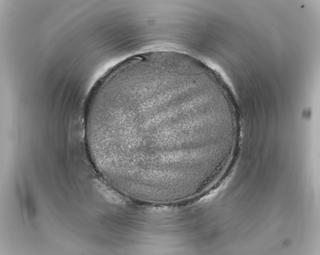 X0000093130973200710241319