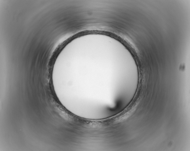 X0000093130974200710241319