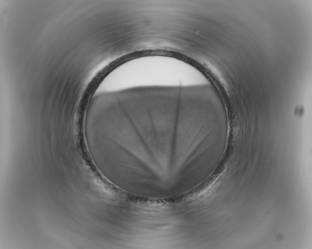 X0000093130975200710241319