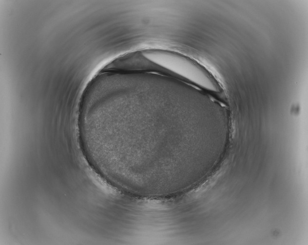 X0000093130976200710241319