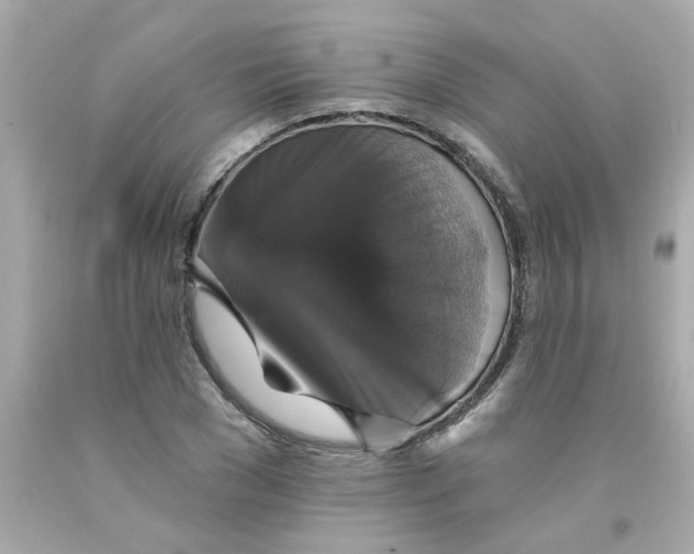 X0000093130977200710241319