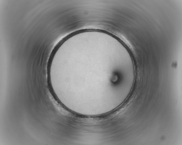 X0000093130980200710241319