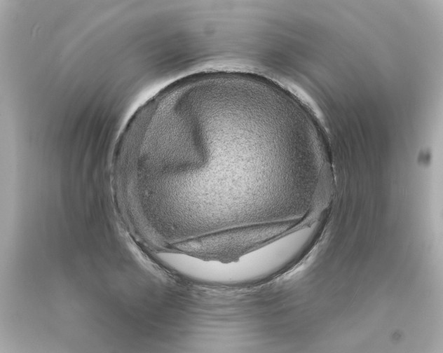 X0000093130981200710241319