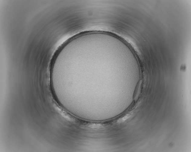 X0000093130982200710241319