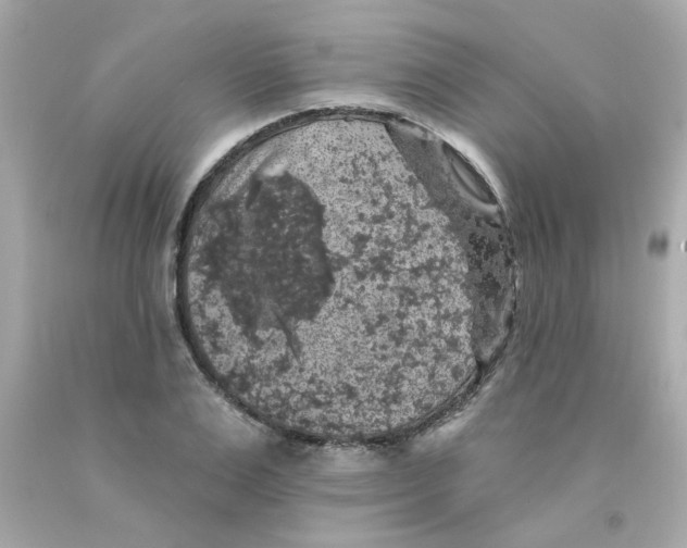X0000093130983200710241319