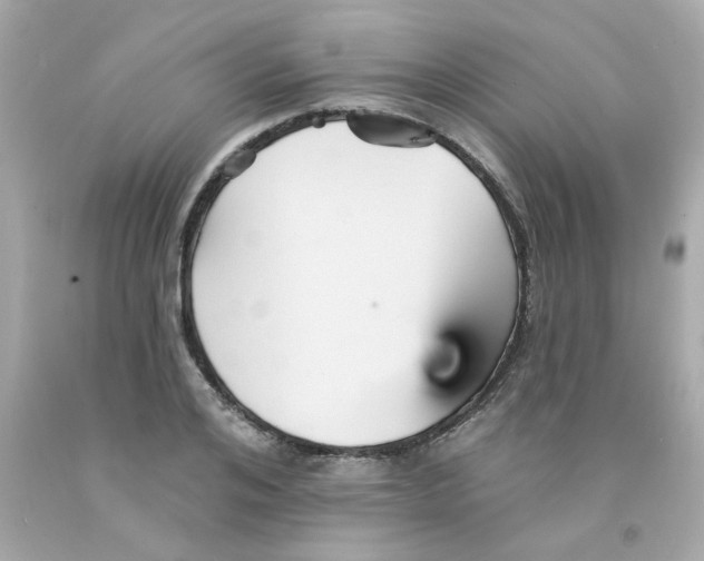 X0000093130984200710241319