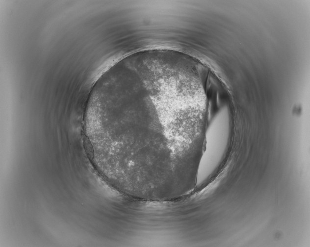 X0000093130985200710241319