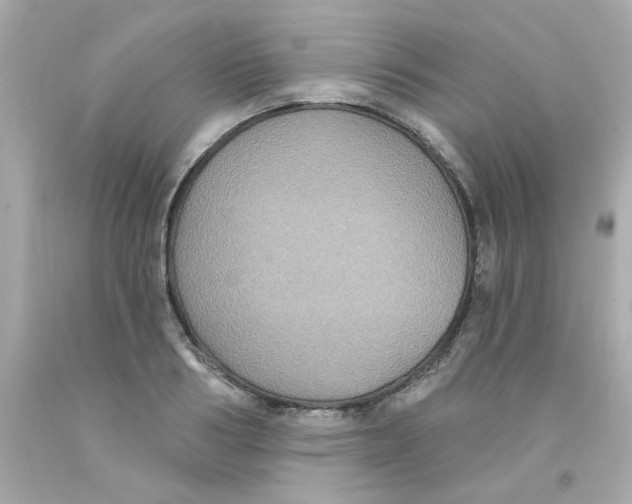 X0000093130986200710241319