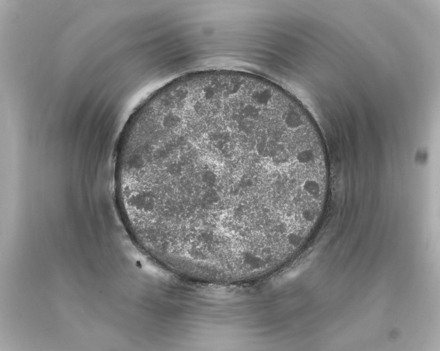 X0000093130987200710241319