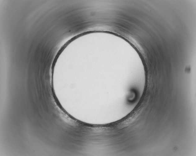 X0000093130988200710241319
