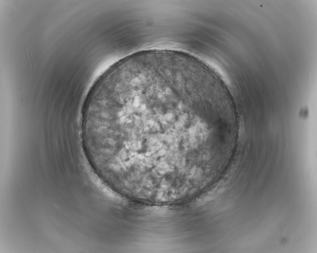 X0000093130990200710241319