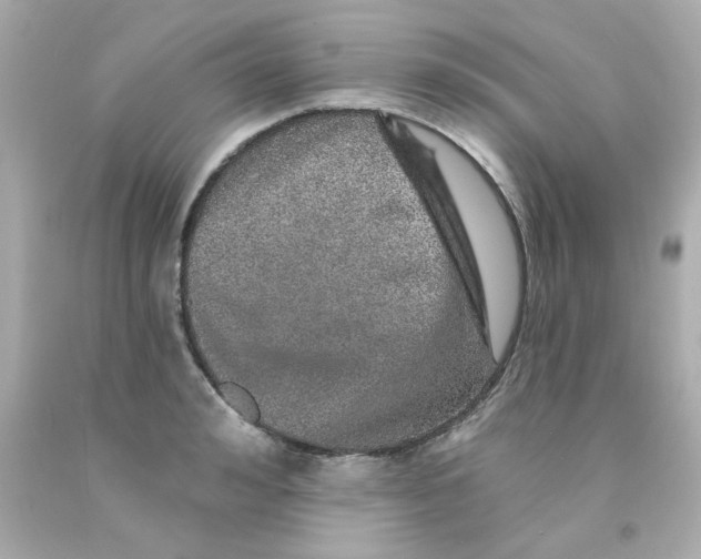 X0000093130992200710241319