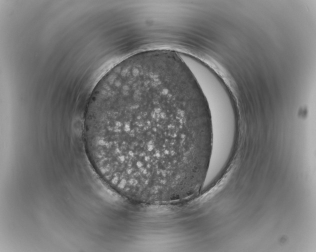 X0000093130993200710241319
