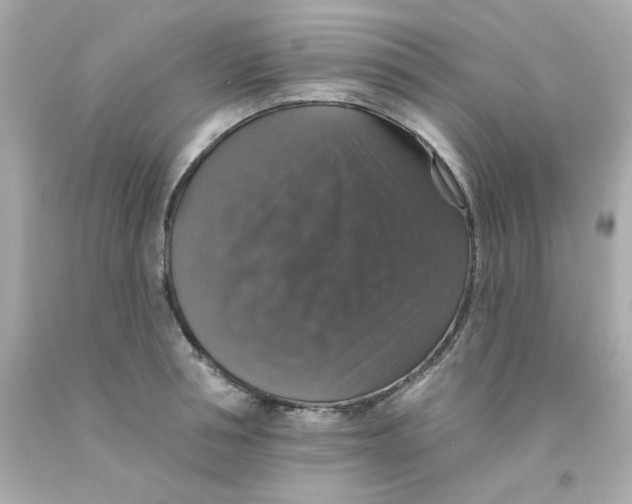 X0000093130994200710241319