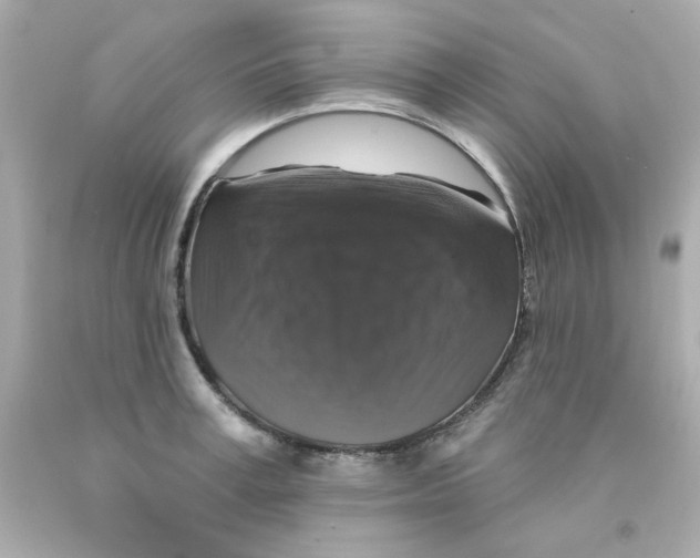 X0000093130995200710241319