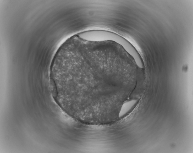 X0000093130996200710241319