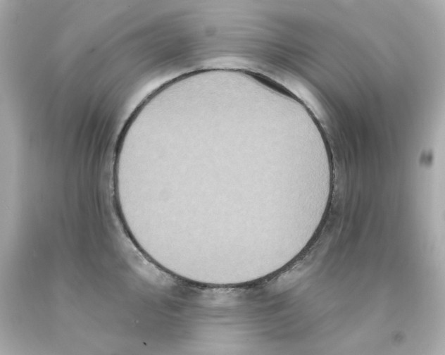 X0000093131000200710241319